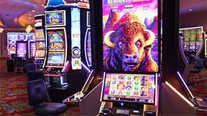 77p777 live casino hero image for Bangladesh visitors